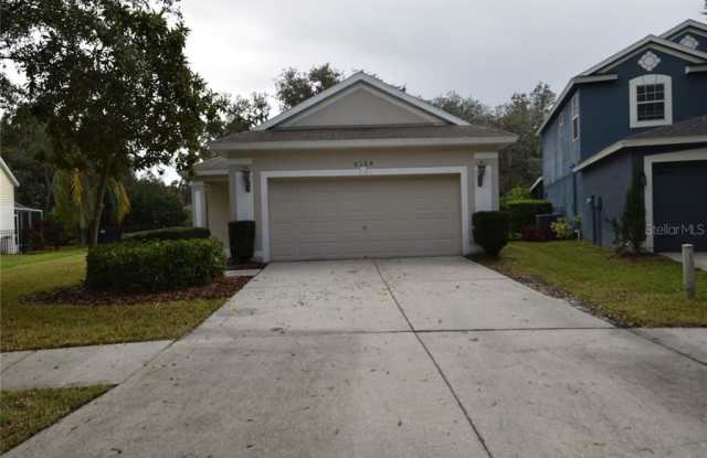 6138 SKYLARKCREST DRIVE - 6138 Skylarkcrest Drive, Fish Hawk, FL 33547