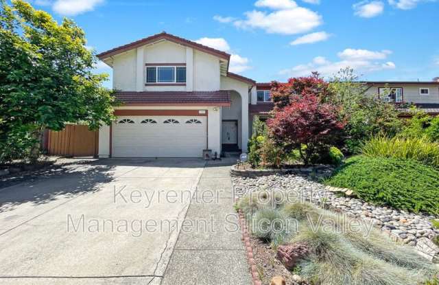 1293 Knollview Drive photos photos