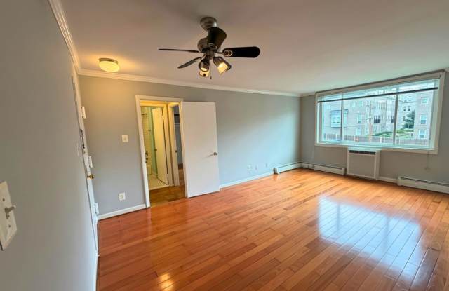 Light-Filled 1BR, 1BA in the Heart of Brookland Gallery 3