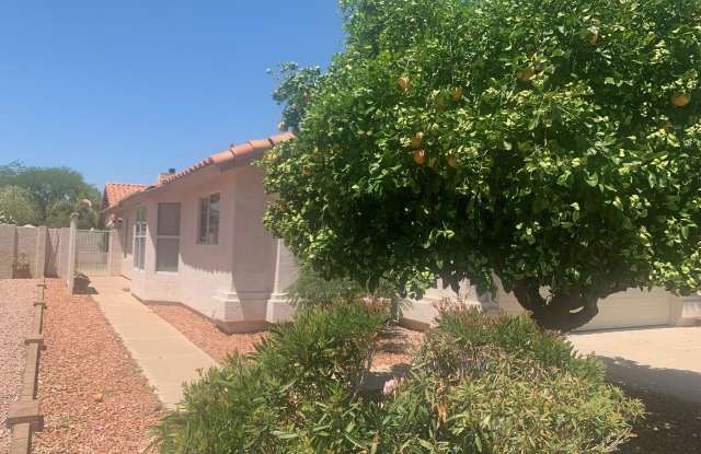 826 S PRESIDIO Drive Gallery 2