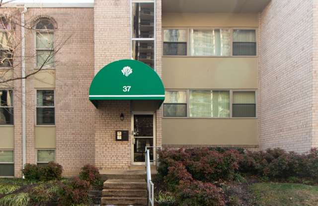 Beautiful top-level 1 bedroom, 1 bathroom condo in Alexandria City photos photos