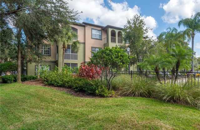 13204 SANCTUARY COVE DRIVE Gallery 3