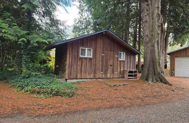 Tiny Home in the County! - 1313 Paradise Road, Whatcom County, WA 98248