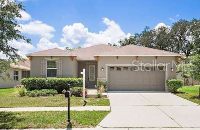 10927 POND PINE DRIVE - 10927 Pond Pine Drive, Riverview, FL 33569