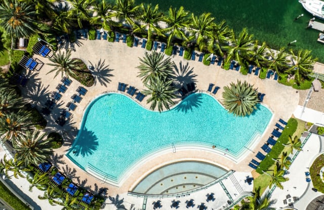 Flamingo South Beach photos photos