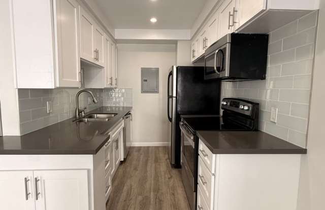 The Shelby Apartments Gallery 1