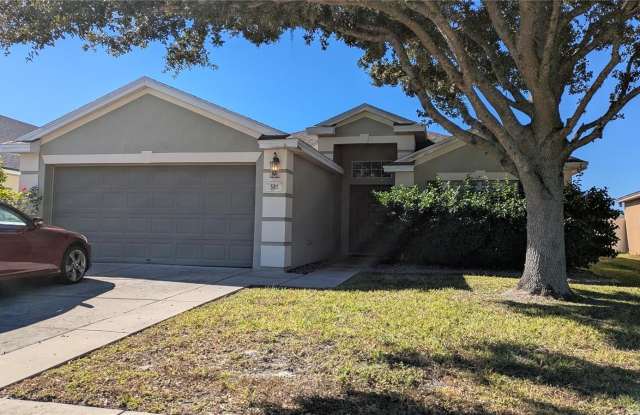 581 PAINTED LEAF DRIVE photos photos