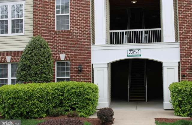 22691 BLUE ELDER TERRACE - 22691 Blue Elder Terrace, Brambleton, VA 20148