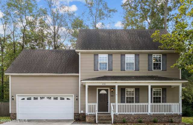 230 Dartmoor Trail - 230 Dartmoor Trail, Onslow County, NC 28540