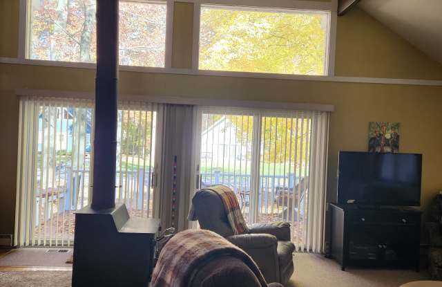 10905 1st Street - 10905 1st Street, Canadian Lakes, MI 49346