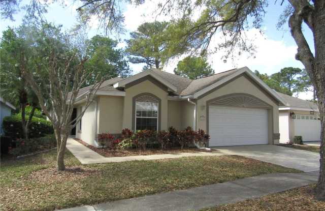 1721 STAFFORD SPRINGS BOULEVARD - 1721 Stafford Springs Boulevard, Mount Dora, FL 32757