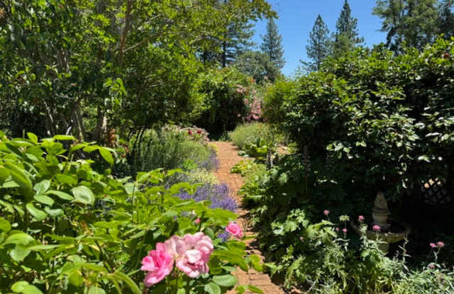 Welcome to this charming 2-bedroom, 2-bathroom home located in the picturesque Grass Valley, photos photos