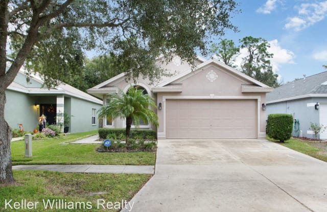 15518 Tanagerpark Way - 15518 Tanagerpark Way, Fish Hawk, FL 33547
