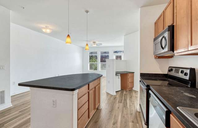10176 Park Meadows Drive Gallery 3