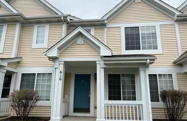 616 Lincoln Station Drive - 616 Lincoln Station Drive, Oswego, IL 60543