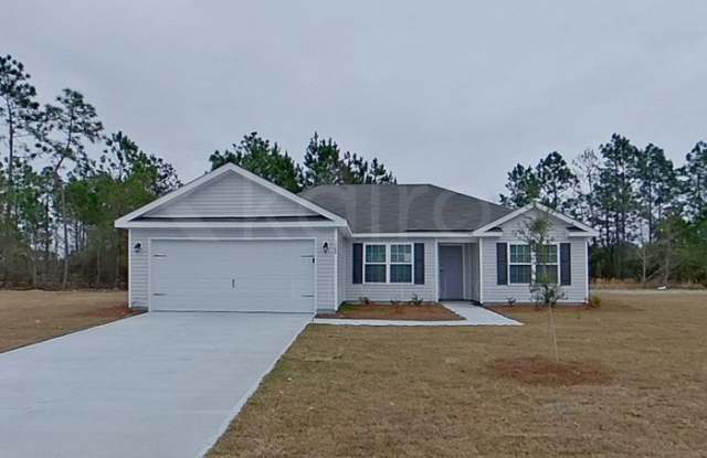 108 Western Red Cedar Drive - 108 Western Red Cedar Drive, Effingham County, GA 31329