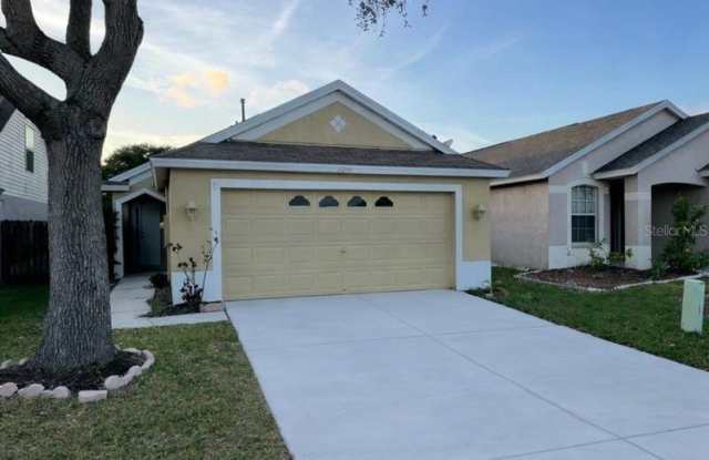 6039 WHITE SAILS DRIVE - 6039 White Sails Drive, Wesley Chapel, FL 33545