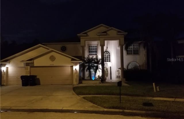 27000 SEA BREEZE WAY - 27000 Sea Breeze Way, Wesley Chapel, FL 33544