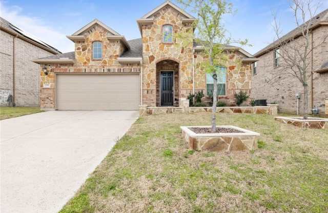 2371 Canary Grass photos photos