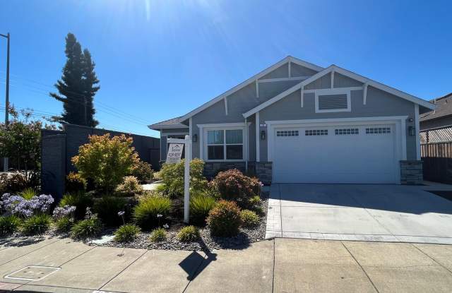 Gorgeous 4 Bedroom 3 Bathroom Single Level New Construction Home in Northeast Santa Rosa photos photos