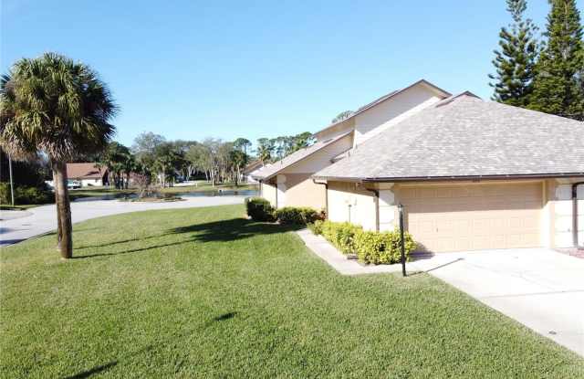 816 BRIMFIELD COURT - 816 Brimfield Court, Port Orange, FL 32127