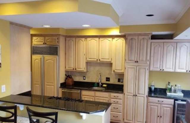 401 WINDING ROSE DRIVE photos photos