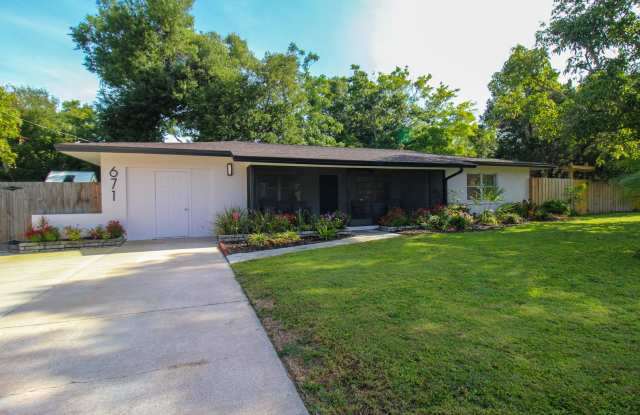 West of Trail Mid-Century Gem with New Designer Kitchen & Oversized Corner Lot photos photos West of Trail Mid-Century Gem with New Designer Kitchen & Oversized Corner Lot photos photos