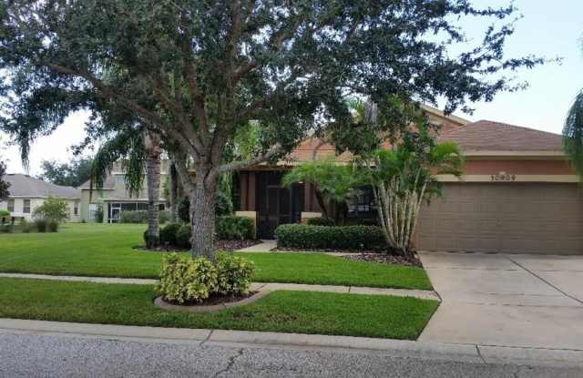10909 HOLLY CONE DRIVE - 10909 Holly Cone Drive, Riverview, FL 33569
