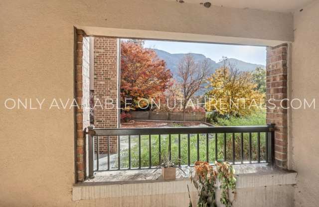 843 E 620 N Gallery 4