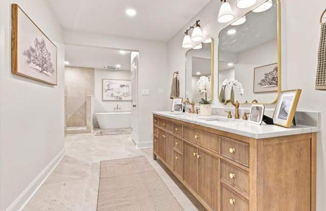 1984 ALDER BRANCH Dr Gallery 2