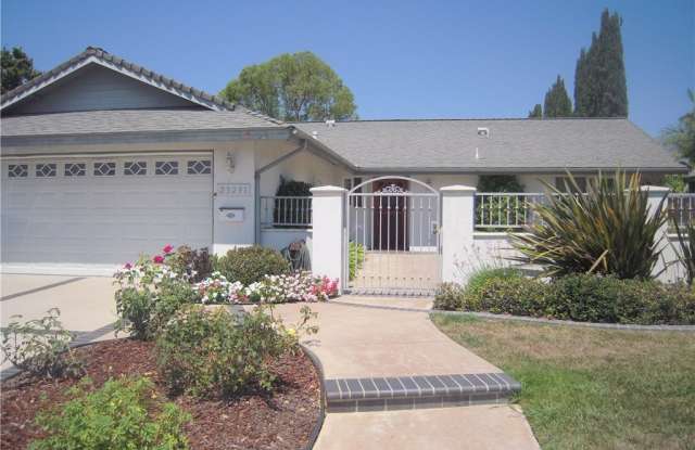 23291 Guinea Street - 23291 Guinea Street, Lake Forest, CA 92630