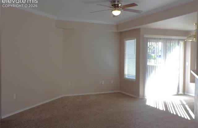 3815 Riviera Grove Gallery 3