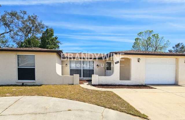 9706 Gray Fox Lane - 9706 Gray Fox Lane, Jasmine Estates, FL 34668 9706 Gray Fox Lane - 9706 Gray Fox Lane, Jasmine Estates, FL 34668