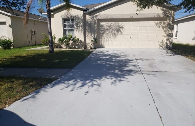 7940 Carriage Pointe Drive - 7940 Carraige Pointe Drive, Gibsonton, FL 33534