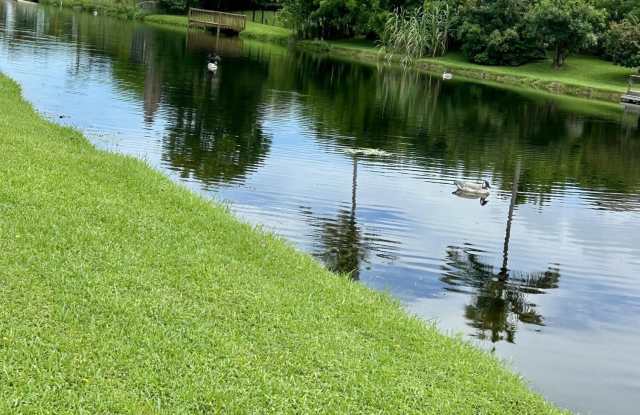 1224 Lake Breeze Drive Gallery 3