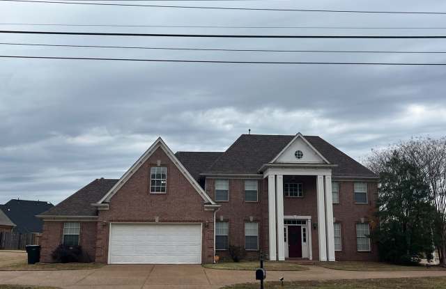 Available Now! photos photos