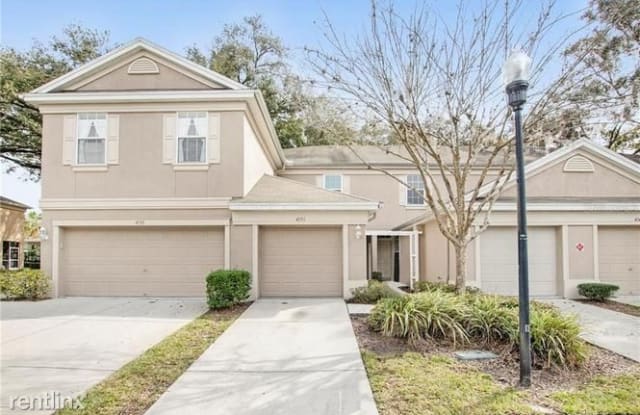 4153 Bismarck Palm Dr Fl 33610 - 4153 Bismark Palm Drive, East Lake-Orient Park, FL 33610
