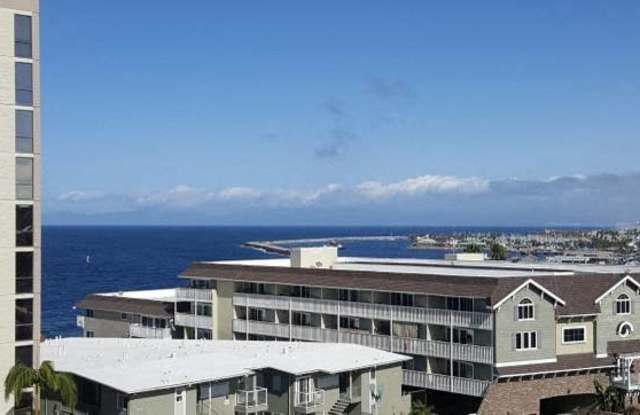 Eddy Seaview Gallery 4