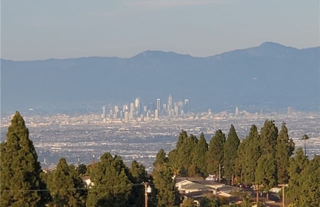 11 AVOCADO Lane - 11 Avocado Lane, Rolling Hills Estates, CA 90274