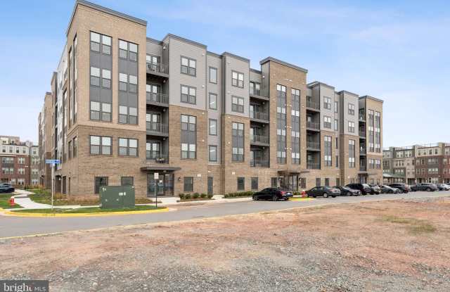 21731 DOVEKIE Terrace unit: 505 - 21731 Dovekie Terrace, Ashburn, VA 20147