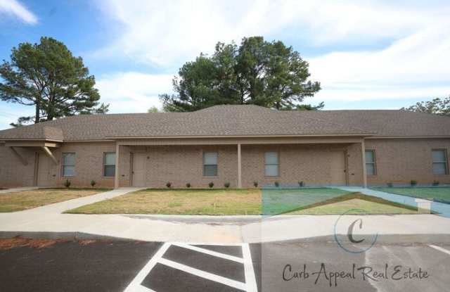 919 Dr Martin Luther King Jr Drive - 919 Dr Martin Luther King Jr Drive, Jonesboro, AR 72401