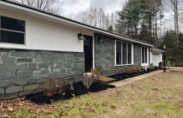 4288 New York 50 photos photos