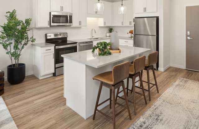 Aster photos photos Aster photos photos