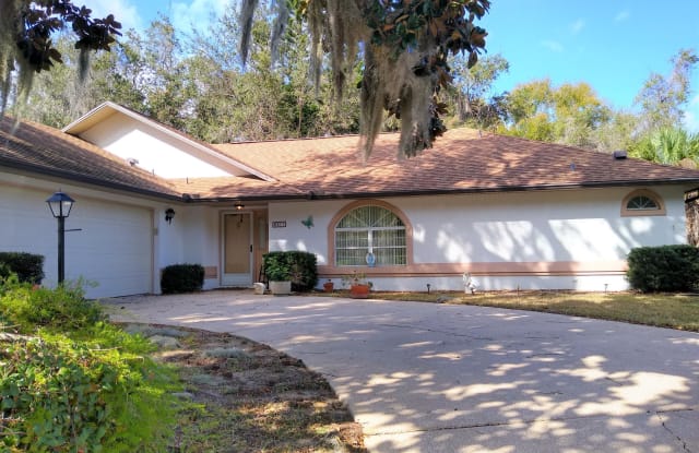 6217 Ranier Circle - 6217 Ranier Circle, Port Orange, FL 32127