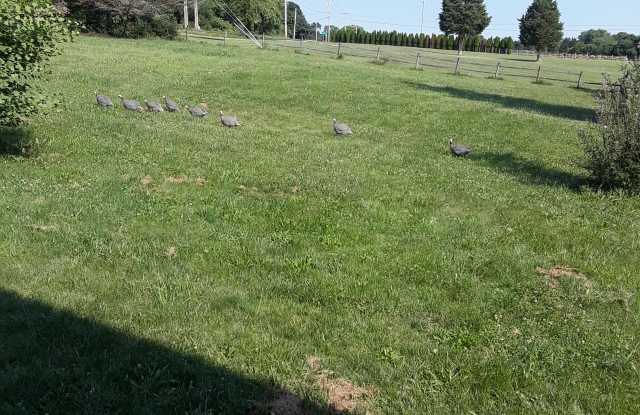 992 Broad Lane - 992 Broad Lane, Berkeley County, WV 25419