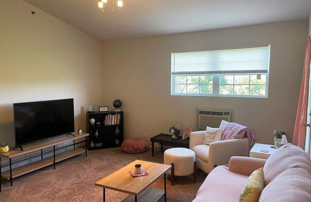 Adorable 1 Bedroom 1 Bathroom Condo in Richmond IL - Third Floor Walk Up photos photos
