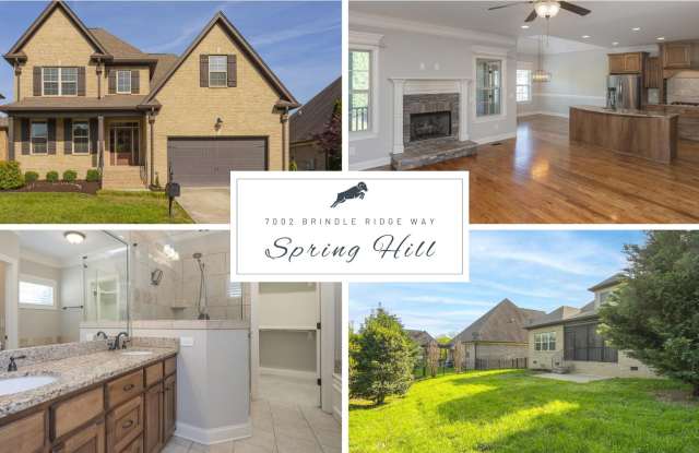 7002 Brindle Ridge Way, Spring Hill, TN 37174 photos photos 7002 Brindle Ridge Way, Spring Hill, TN 37174 photos photos