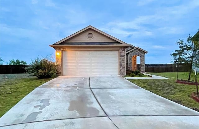12308  Riprap DR - 12308 Riprap Drive, Manor, TX 78653