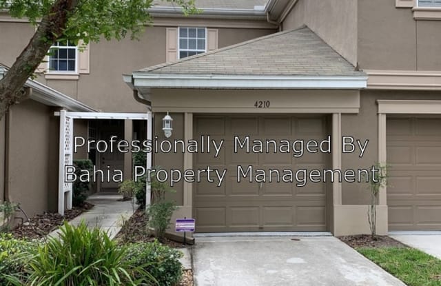 4210 Bismarck Palm Dr - 4210 Bismark Palm Drive, East Lake-Orient Park, FL 33610