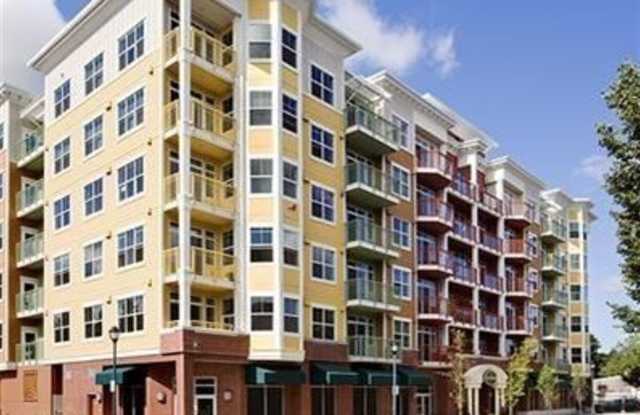 Beautiful 1 Bed 1 Bath Condo in Downtown Redmond photos photos Beautiful 1 Bed 1 Bath Condo in Downtown Redmond photos photos